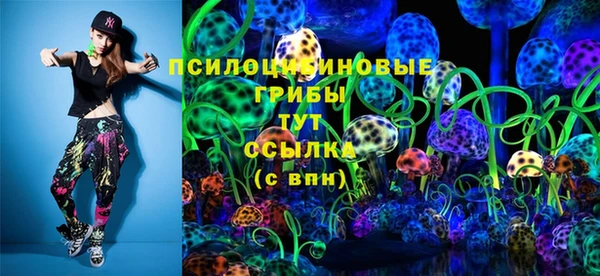ГАЛЛЮЦИНОГЕННЫЕ ГРИБЫ Бугульма