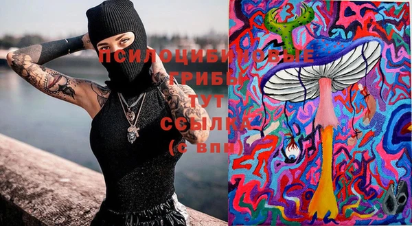 ГАЛЛЮЦИНОГЕННЫЕ ГРИБЫ Бугульма