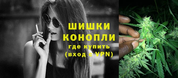 МДМА Бородино